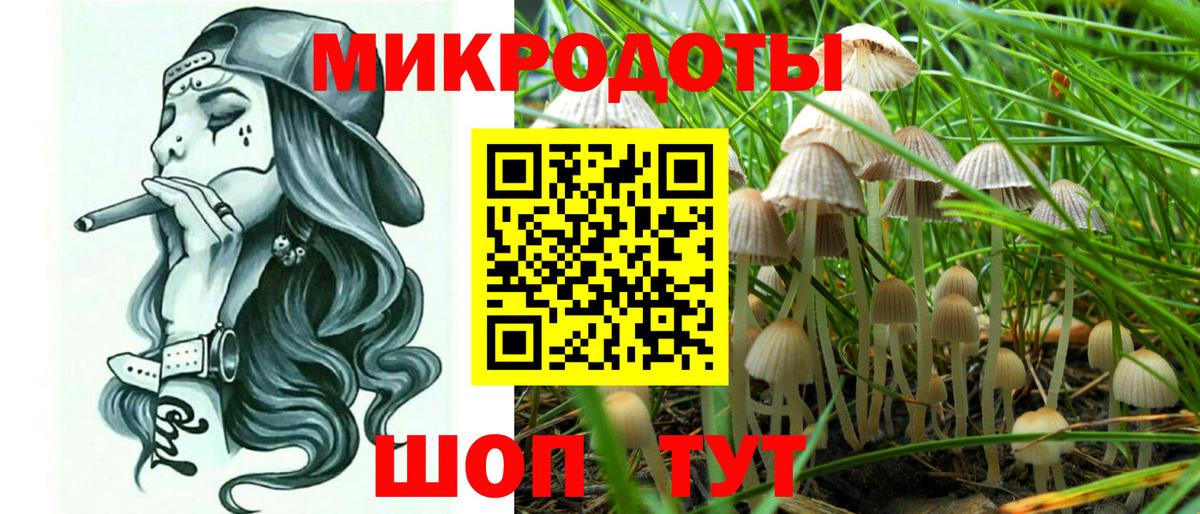 Павловский Посад  Галлюциногенные грибы Psilocybine cubensis  Вход с VPN 