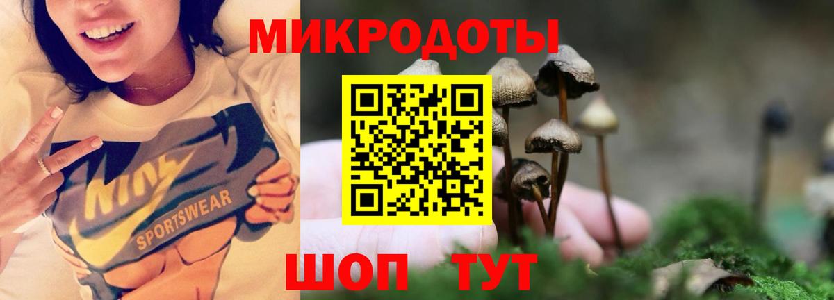 Псилоцибиновые грибы мухоморы Павловский Посад